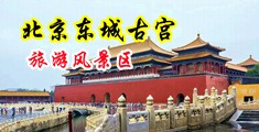 看黑人是怎么用大鸡巴操女人的中国北京-东城古宫旅游风景区